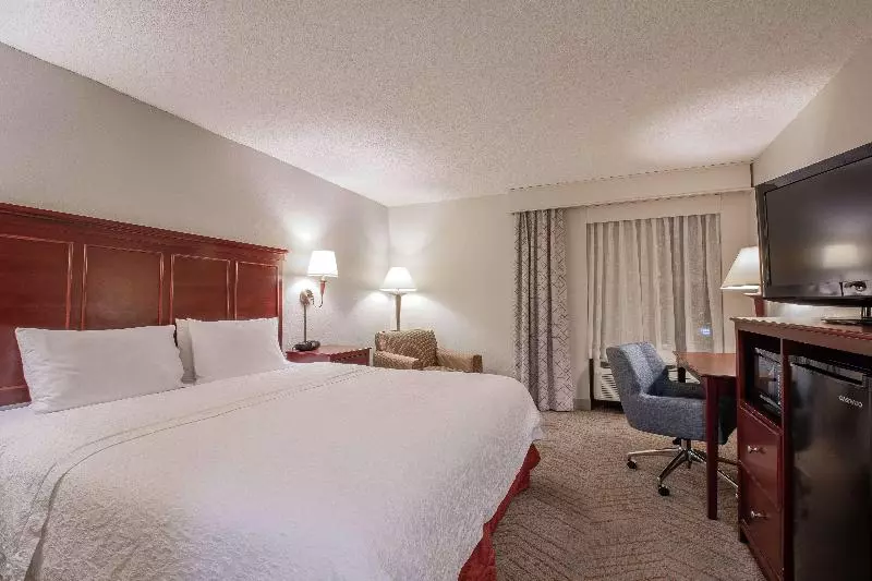 اتاق استاندارد با تخت بزرگ, Hampton Inn & Suites Williamsburgrichmond Rd