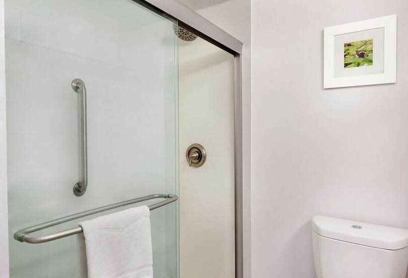 إستوديو قياسى سرير مزدوج, Hampton Inn Waycross