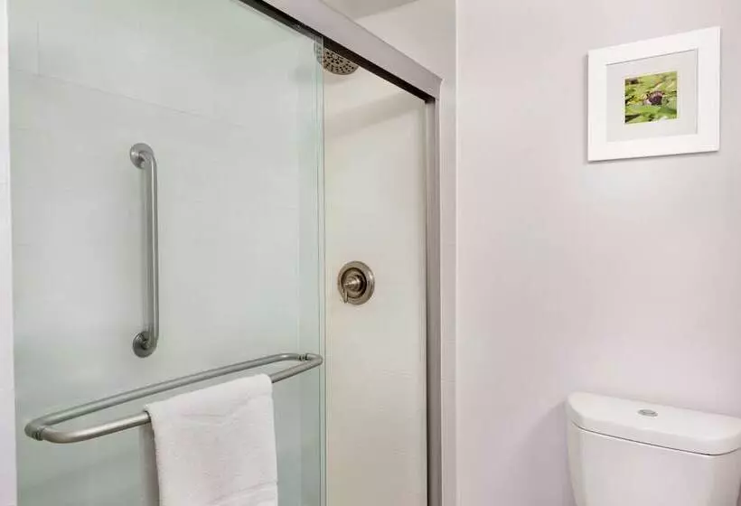 ダブルベッドのスタンダードスタジオ, Hampton Inn Waycross