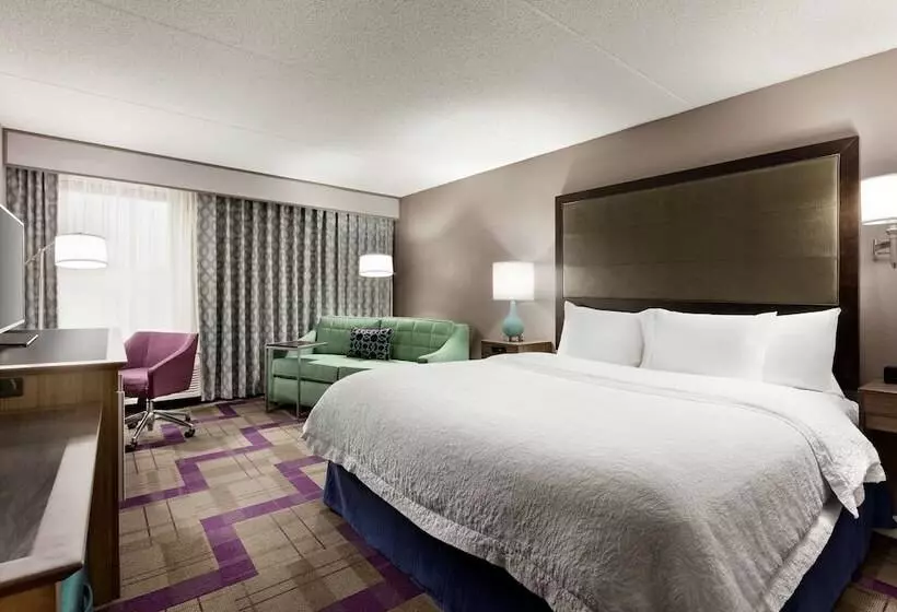 ダブルベッドのスタンダードスタジオ, Hampton Inn Waycross