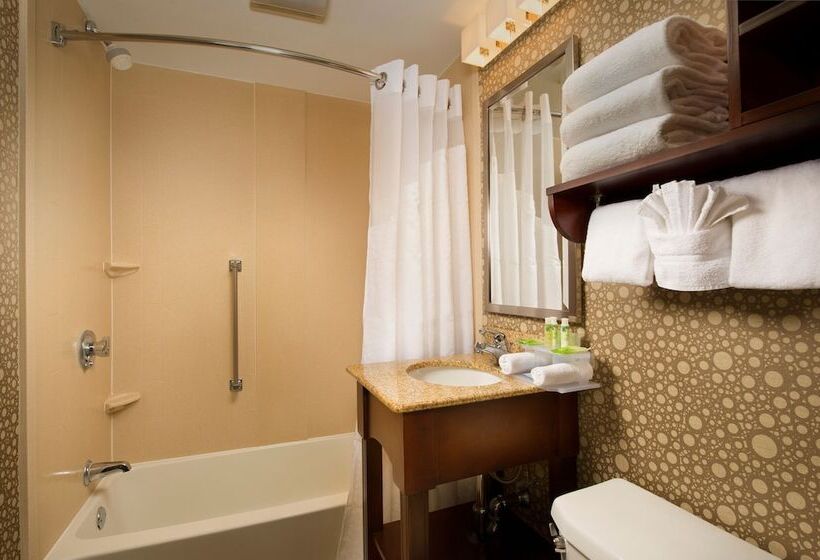 장애인을 위한 스탠다드 룸, Holiday Inn Express Boston North Woburn, An Ihg