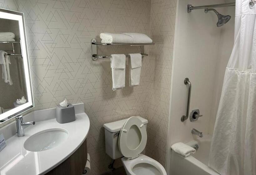 带大床的标准间, Holiday Inn Express Crestwood, An Ihg