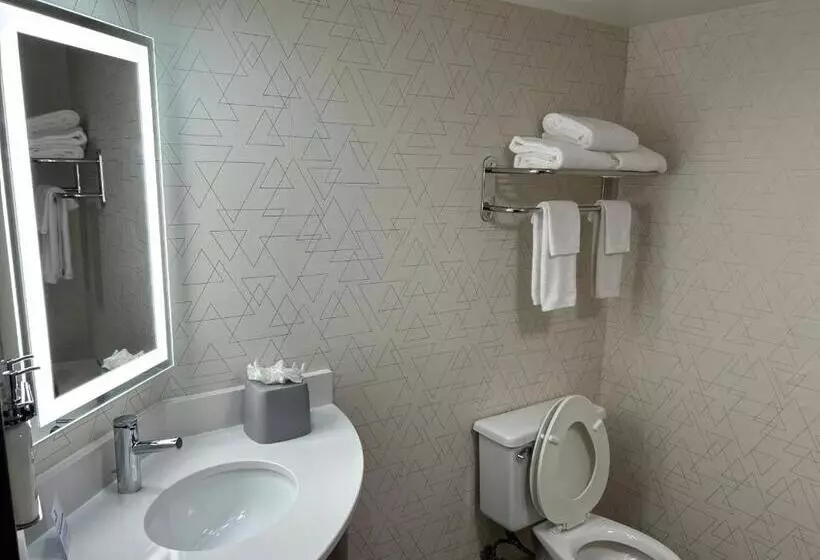 Standard-huone 2 Parivuodetta, Holiday Inn Express Crestwood, An Ihg
