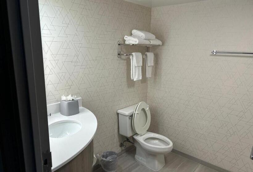 带2个双人床的标准工作室, Holiday Inn Express Crestwood, An Ihg
