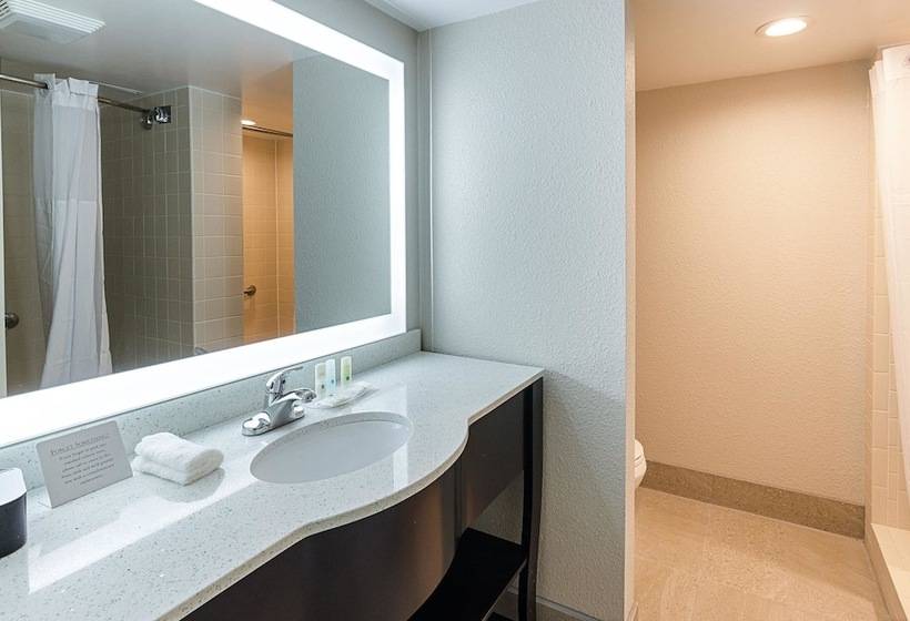 غرفه قياسيه سريرين مزدوجين, Quality Inn Tanglewood