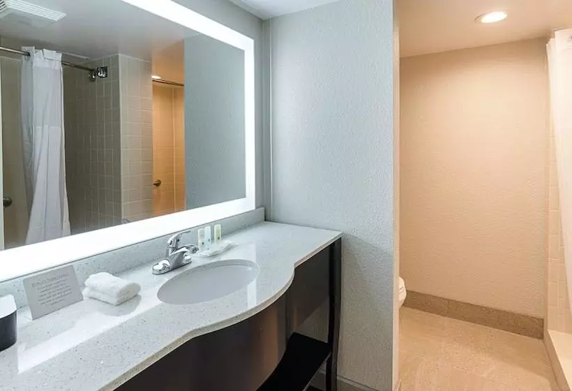 اتاق استاندارد با 2 تخت دوبل, Quality Inn Tanglewood