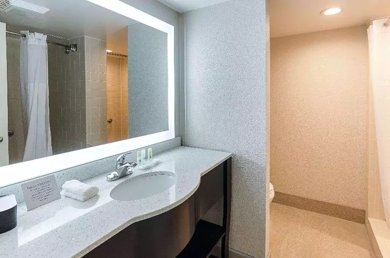 اتاق استاندارد با تخت بزرگ, Quality Inn Tanglewood