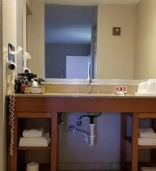 اتاق استاندارد با 2 تخت دوبل, Travelodge By Wyndham Pueblo