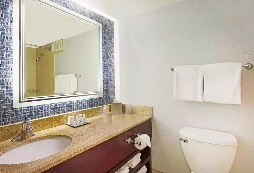 اتاق استاندارد با چشمانداز دریاچه, Wyndham Lake Buena Vista - Disney Springs® Area