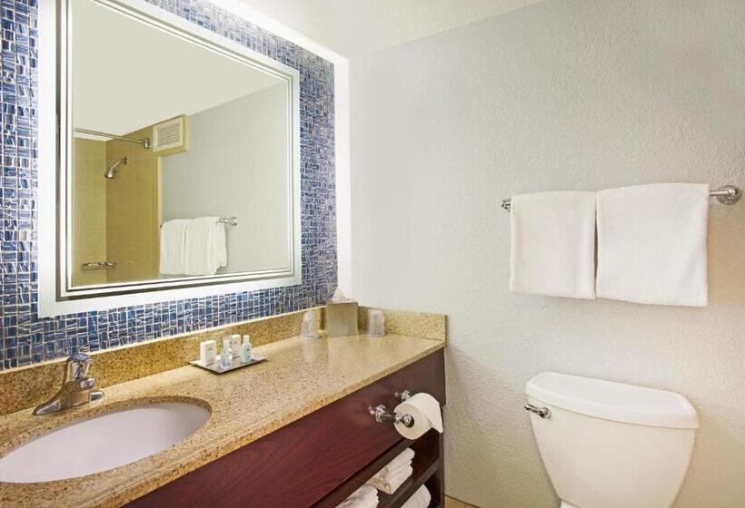Номер Стандартный с Видом, Wyndham Lake Buena Vista Resort Disney Springs® Resort Area
