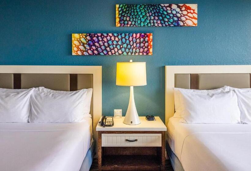 Номер Стандарт, Wyndham Lake Buena Vista Resort Disney Springs® Resort Area