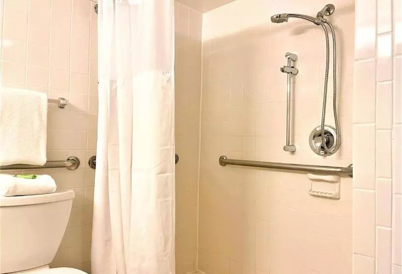 اتاق استاندارد, Wyndham Lake Buena Vista - Disney Springs® Area