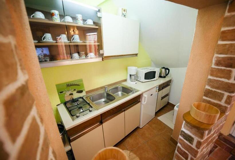 스탠다드 내측 스튜디오, Apartment Tomy / Studio Terrace A1