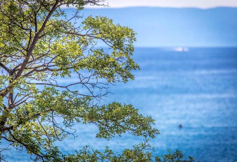 Апартаменты 1 Спальня Вид на Море с Балконом, Apartments And Rooms Milcetic