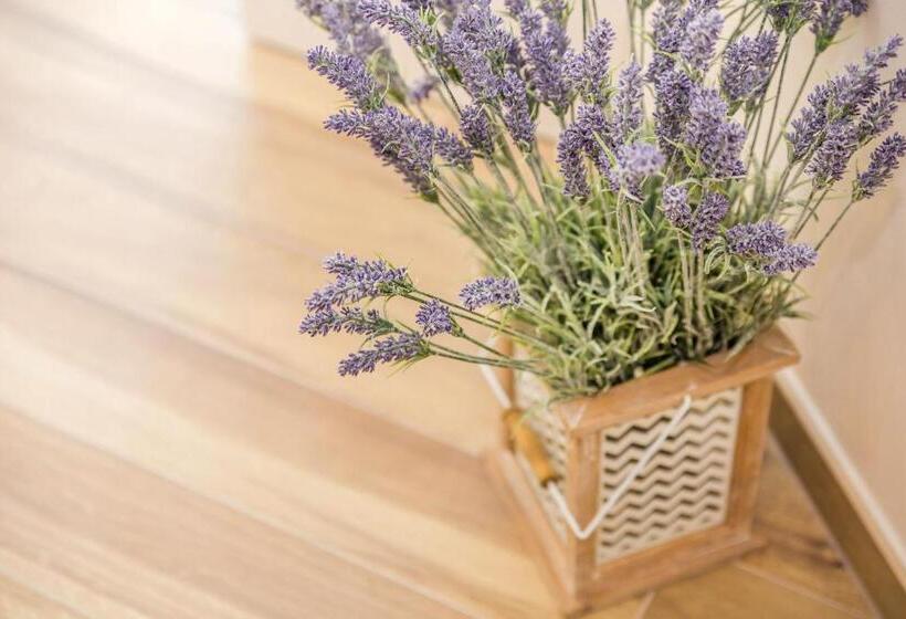 Апартаменты 1 Спальня Вид на Море с Балконом, Apartments And Rooms Milcetic