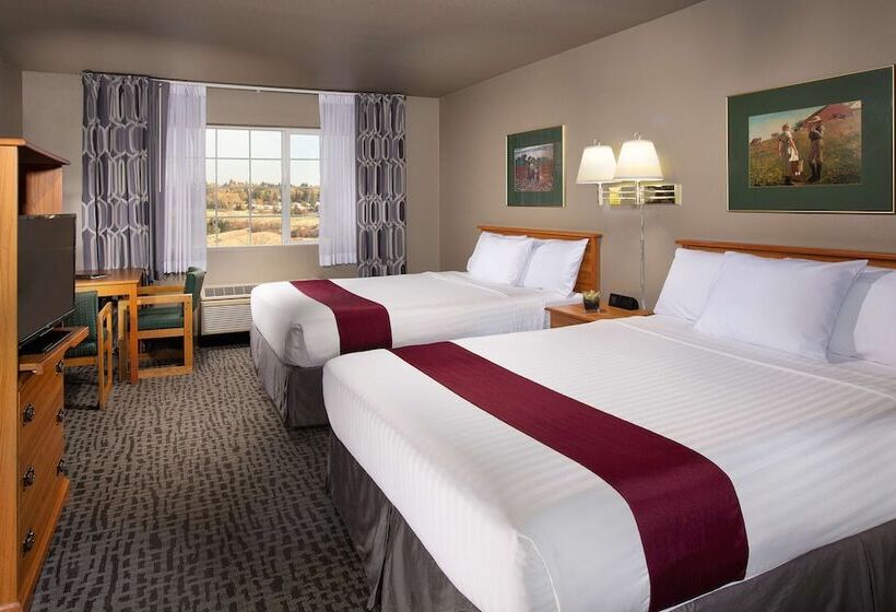 クイーンサイズベッドのスタンダードルーム, Coast Hilltop Inn