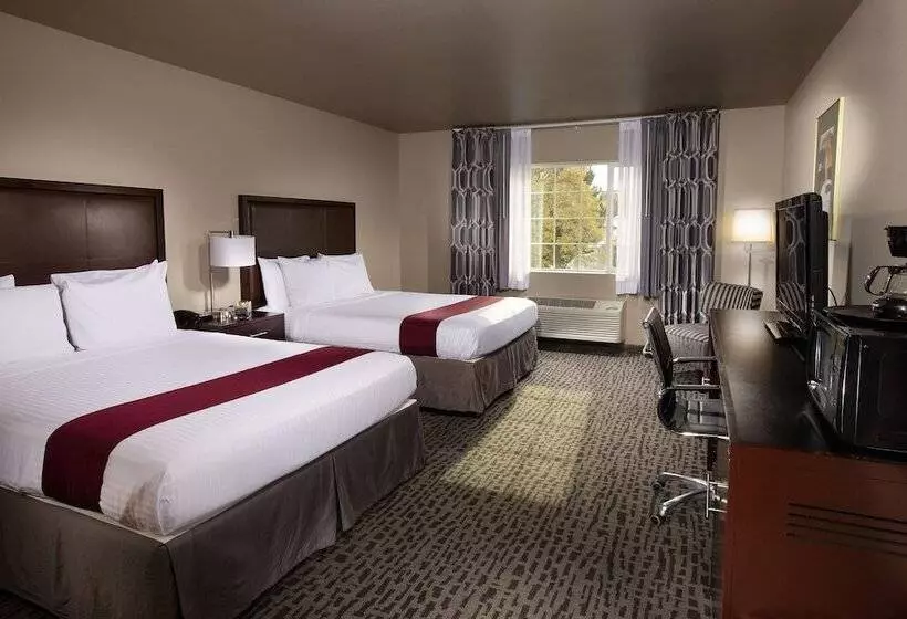 اتاق استاندارد با تخت دو نفره بزرگ, Coast Hilltop Inn