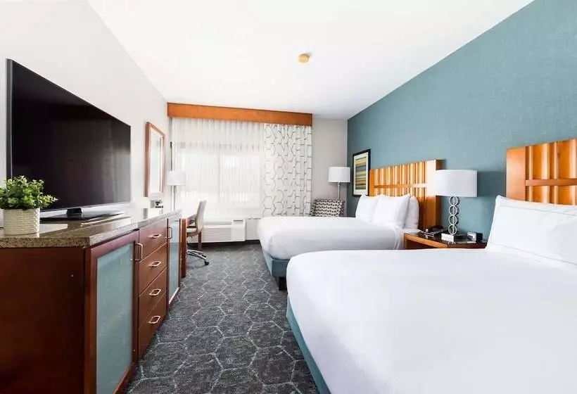 スタンダードルーム, Doubletree By Hilton  Carson