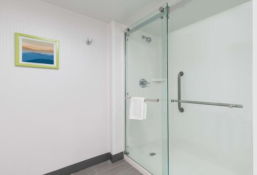 Люкс, Hampton Inn Simpsonville