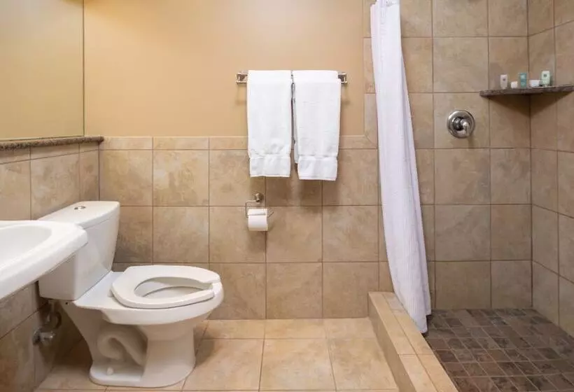 Deluxe-huone, Heathman Lodge