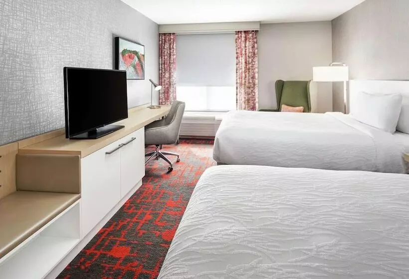 ２ダブルベッドのスタンダードルーム, Hilton Garden Inn Albuquerque North/rio Rancho