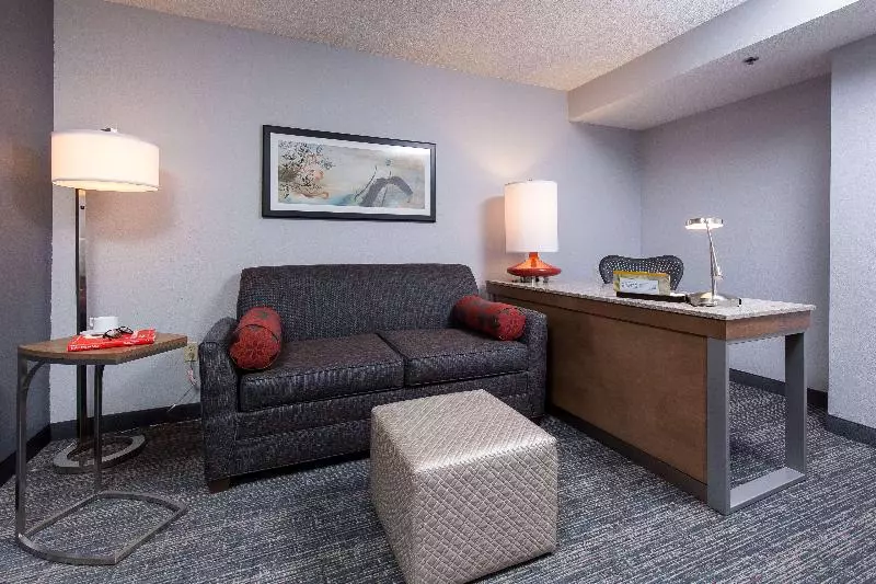 キングサイズベッドのスタンダードルーム, Hilton Garden Inn Atlanta North/johns Creek