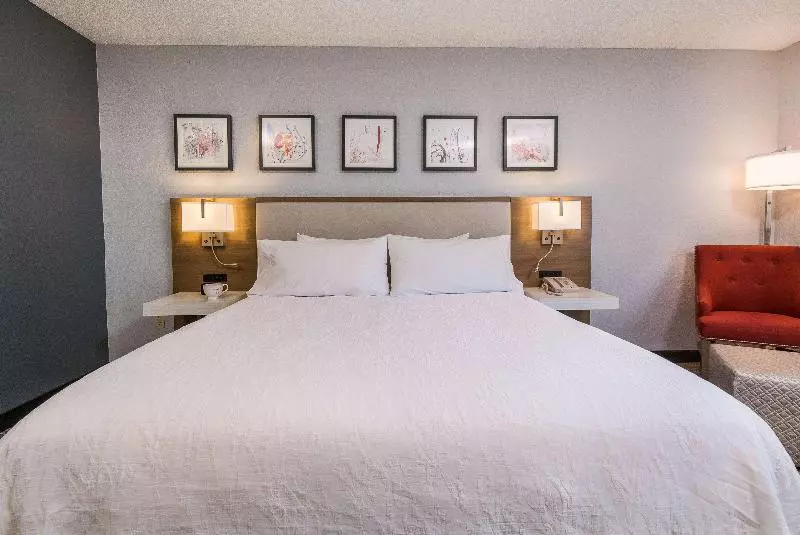 プレミアムルーム, Hilton Garden Inn Atlanta North/johns Creek