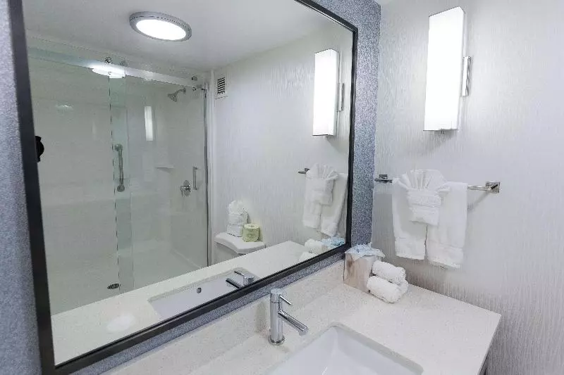 プレミアムルーム, Hilton Garden Inn Atlanta North/johns Creek