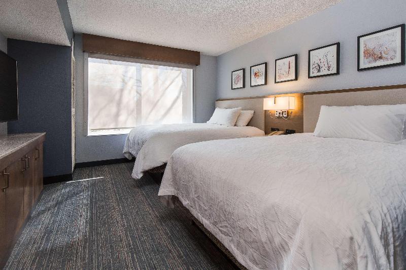 Номер Премиум, Hilton Garden Inn Atlanta North/johns Creek