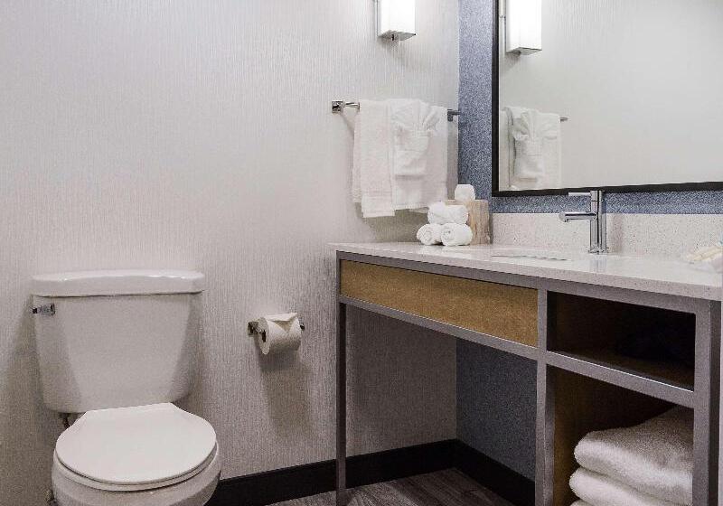 غرفة بريميوم, Hilton Garden Inn Atlanta North/johns Creek