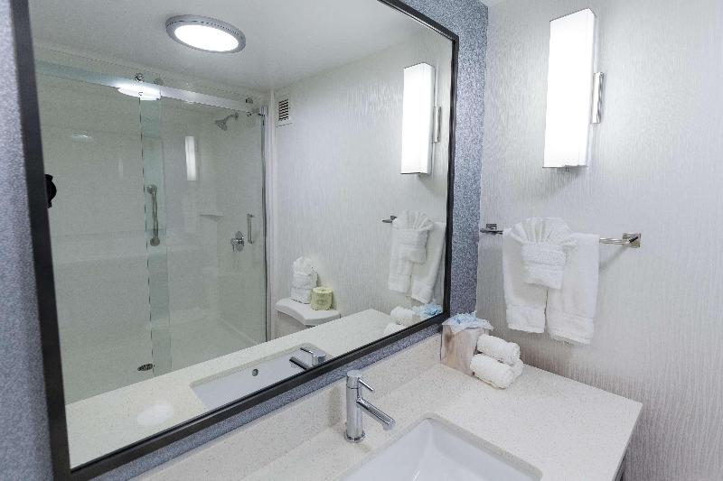 Стандартный Номер Кровать Кинг, Hilton Garden Inn Atlanta North/johns Creek