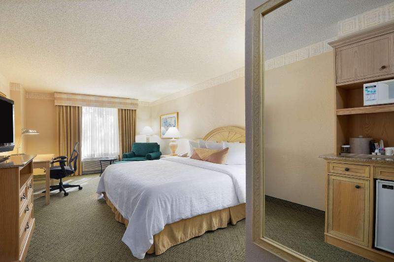 Стандартный Номер Кровать Кинг, Hilton Garden Inn Atlanta North/johns Creek