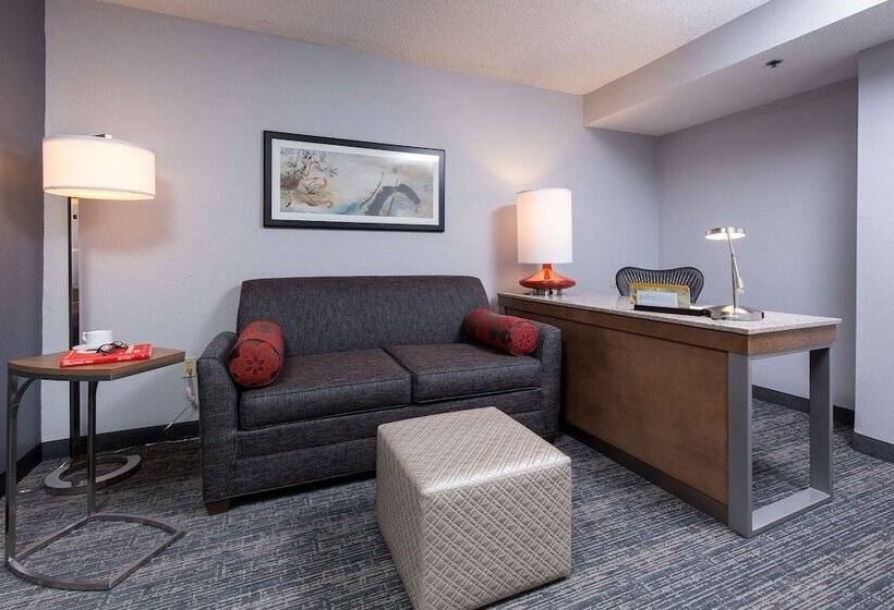 Люкс, Hilton Garden Inn Atlanta North/johns Creek