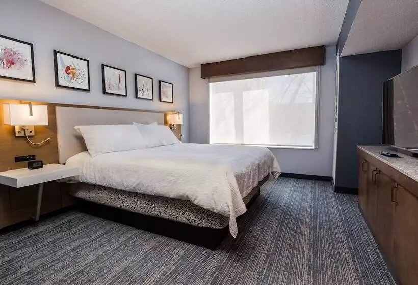 スイート, Hilton Garden Inn Atlanta North/johns Creek