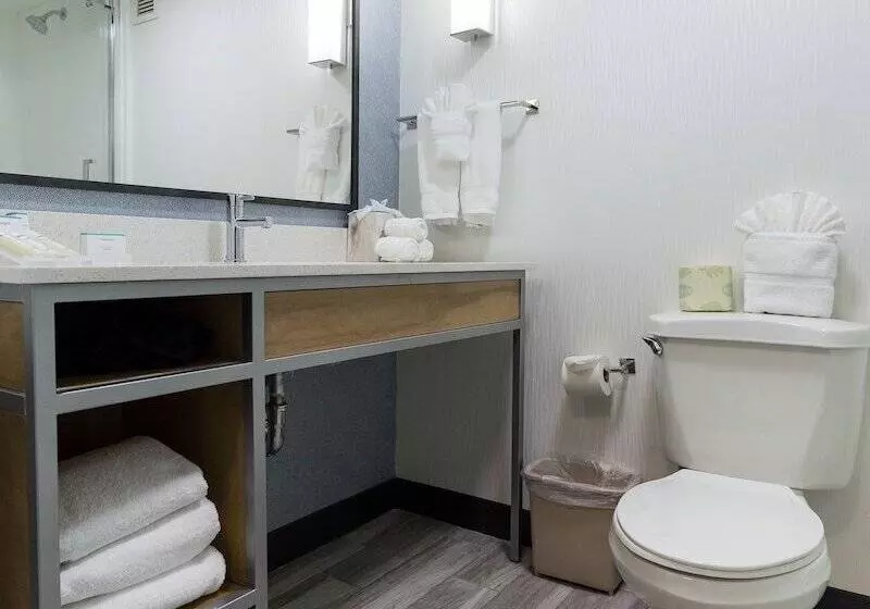 スタンダードルーム, Hilton Garden Inn Atlanta North/johns Creek