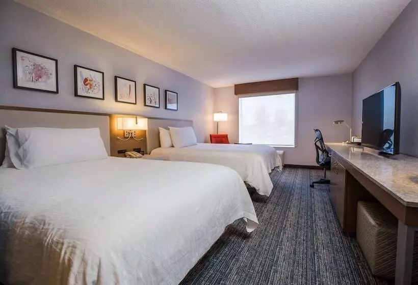 スタンダードルーム, Hilton Garden Inn Atlanta North/johns Creek