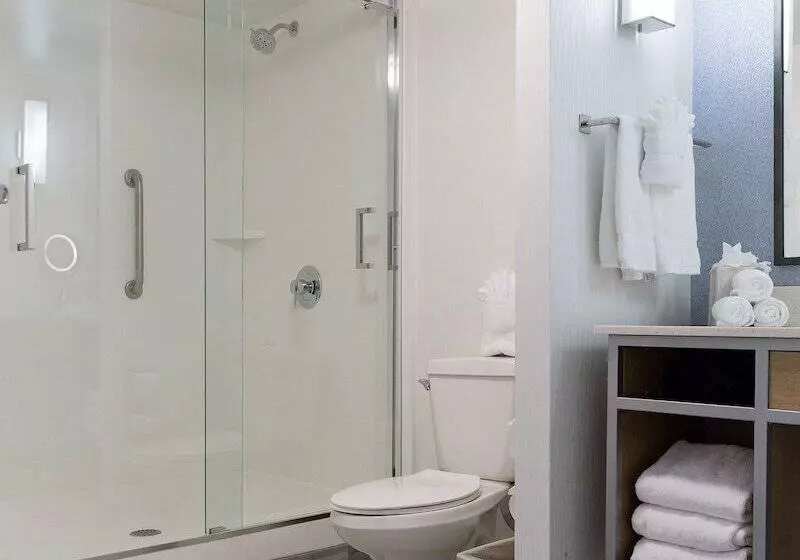 スイート, Hilton Garden Inn Atlanta North/johns Creek