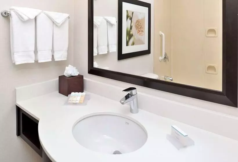 اتاق استاندارد, Hilton Garden Inn Dallas/addison