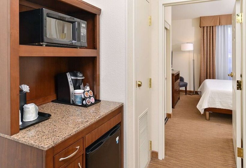 スタンダードルーム, Hilton Garden Inn Dallas/addison