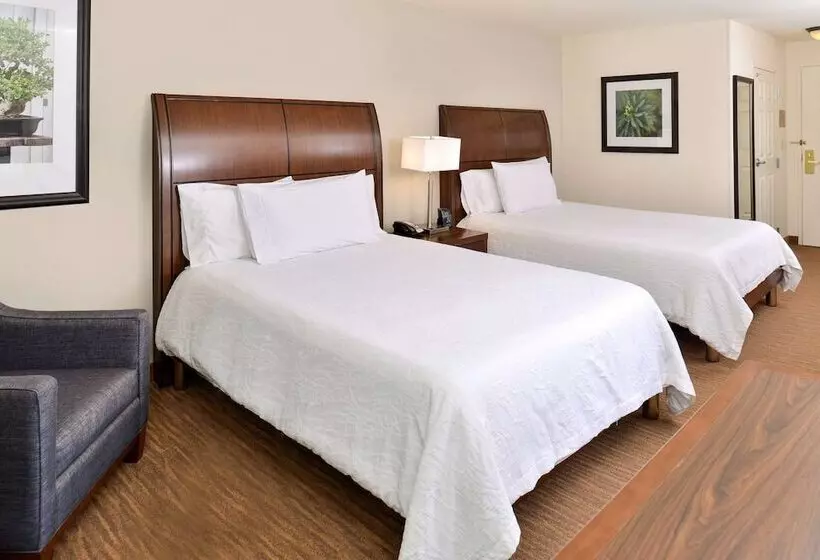 اتاق استاندارد برای معلولان, Hilton Garden Inn Dallas/addison