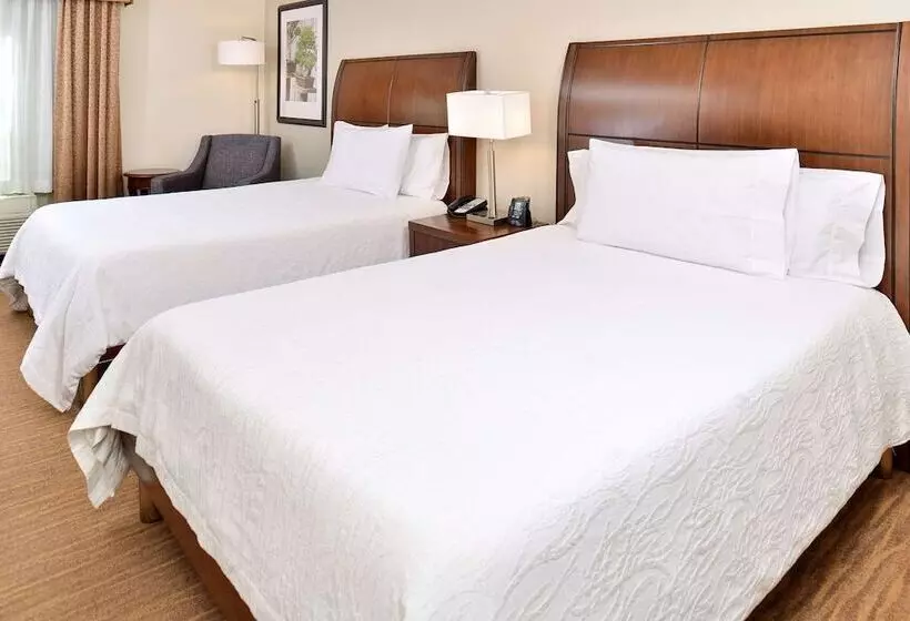 اتاق استاندارد برای معلولان, Hilton Garden Inn Dallas/addison