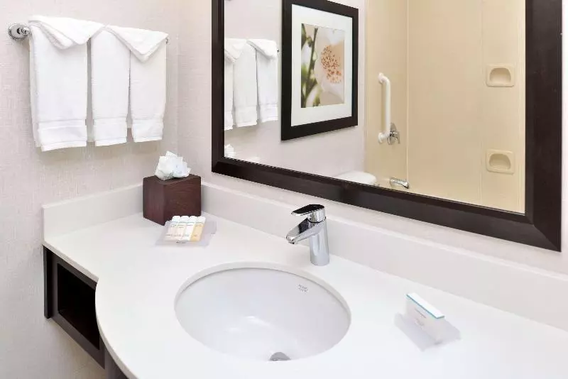 اتاق استاندارد با تخت بزرگ, Hilton Garden Inn Dallas/addison
