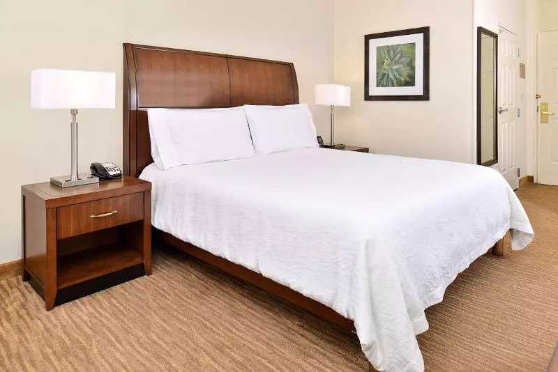 اتاق استاندارد با تخت بزرگ, Hilton Garden Inn Dallas/addison