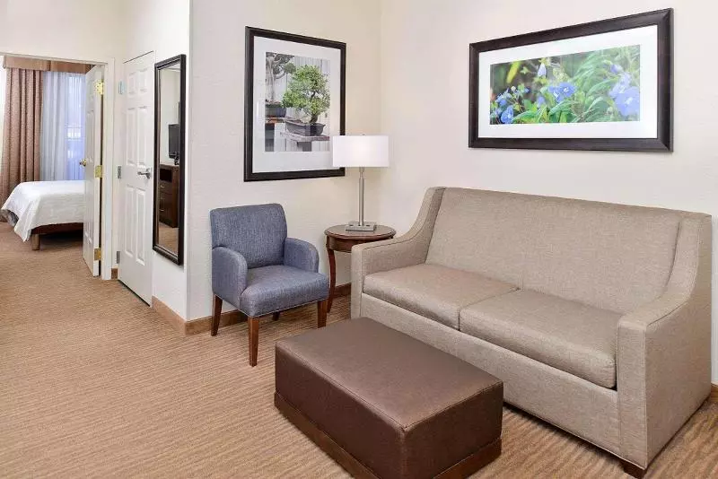 سوئیت با تخت بزرگ, Hilton Garden Inn Dallas/addison
