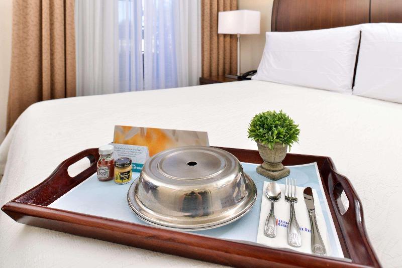 キングサイズベッドのスイートルーム, Hilton Garden Inn Dallas/addison