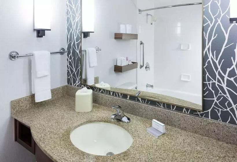 اتاق استاندارد برای معلولان, Hilton Garden Inn Sacramento/south Natomas