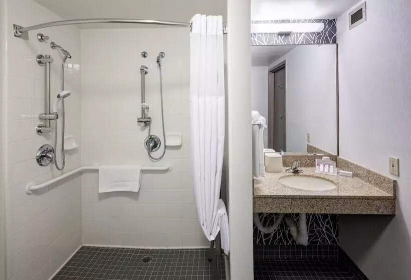اتاق استاندارد برای معلولان, Hilton Garden Inn Sacramento/south Natomas