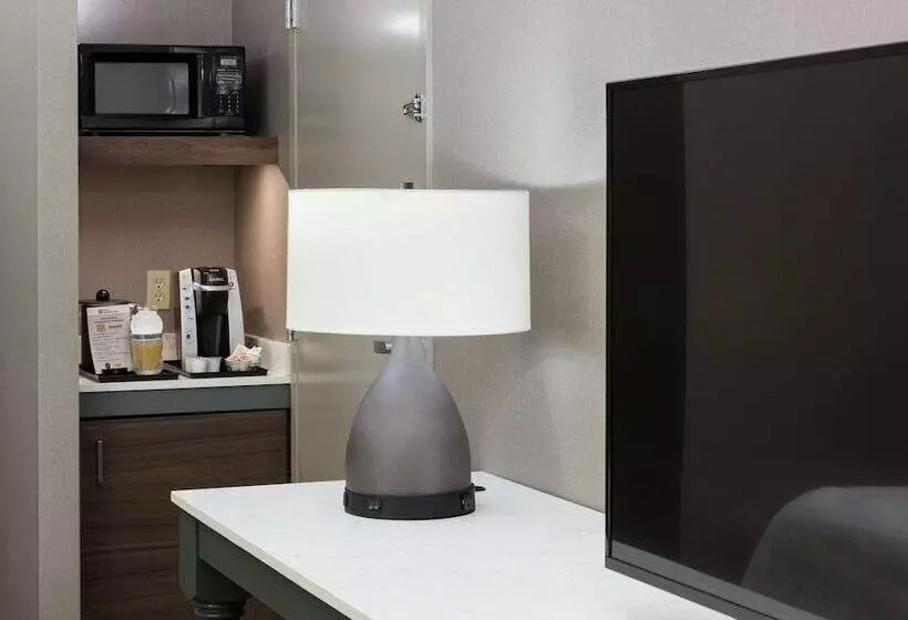 اتاق استاندارد برای معلولان, Hilton Garden Inn Sacramento/south Natomas