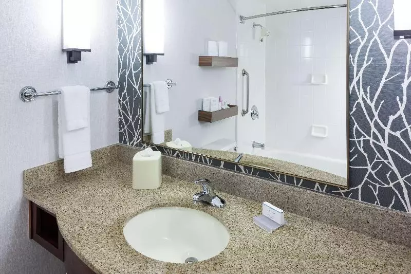 اتاق استاندارد با تخت بزرگ, Hilton Garden Inn Sacramento/south Natomas