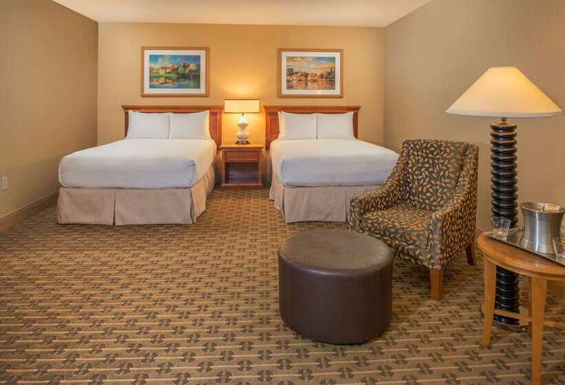 Quarto standard, Hilton Seattle Airport & Conference Center